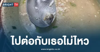 ไปต่อกับเธอไม่ไหว