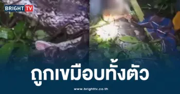 งูเขมือบ