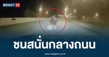 ชนแม่ลูก