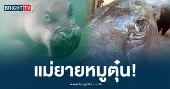แก้ปก-min
