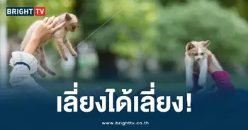 พิษสุนัขบ้า (2)-min