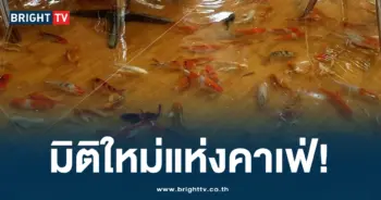 คาเฟ่ปลาคราฟ