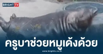 เด้ง ตกกะละมัง