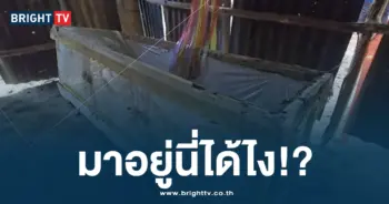 ศพหลานมาอยู่นี่ได้ไง