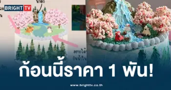 เค้กน้ำตก ปก