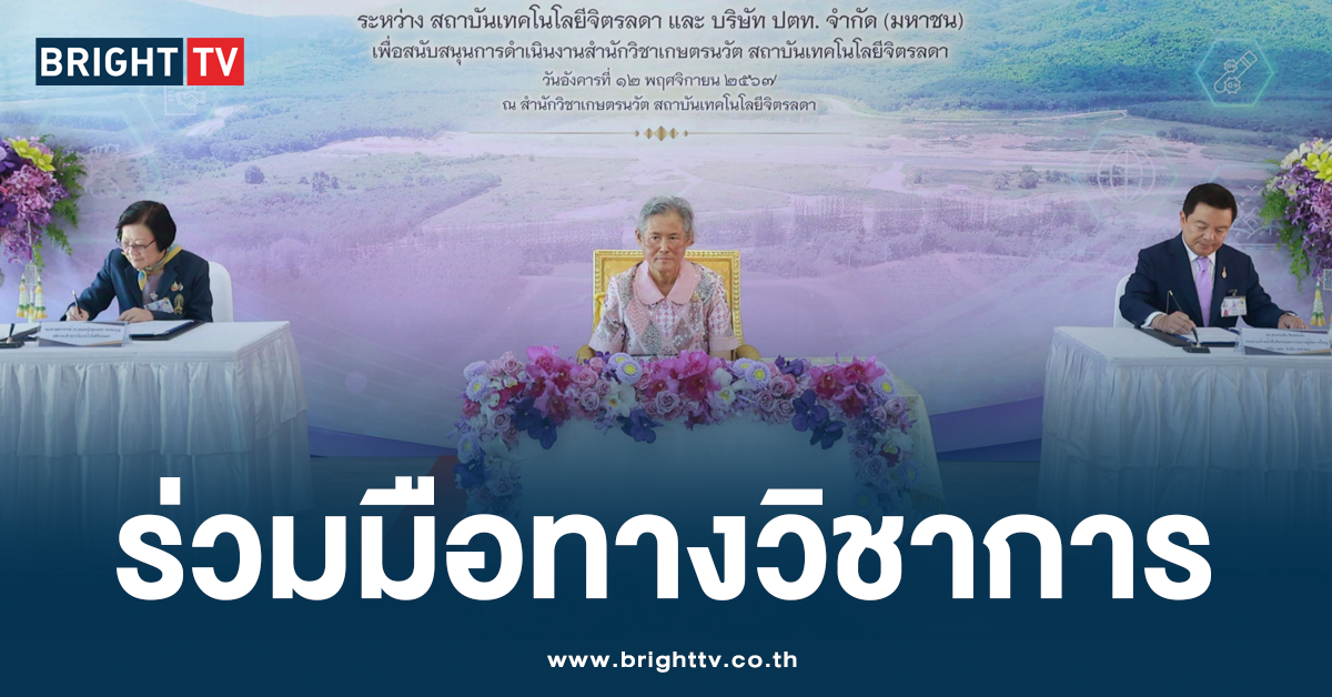 ปก ร่วมมือวิชาการ