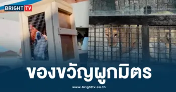 รัสเซีย ปูติน