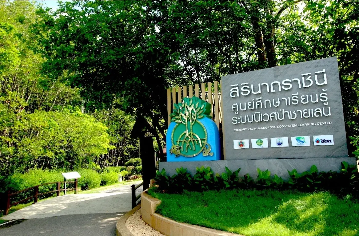 ปากกาฝักโกงกาง8 0