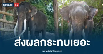 พลายศักดิ์สุรินทร์ งา
