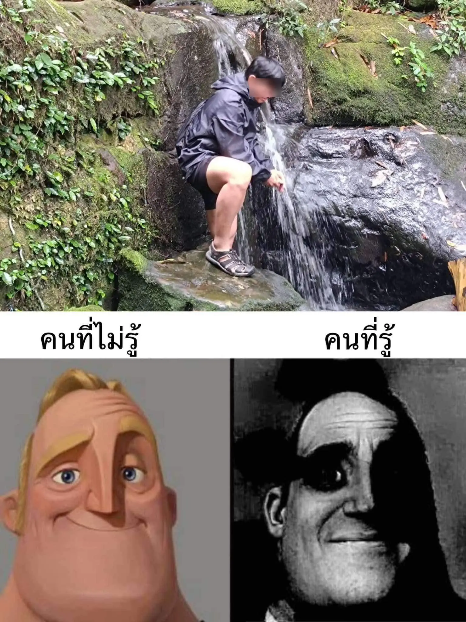 เดินป่า