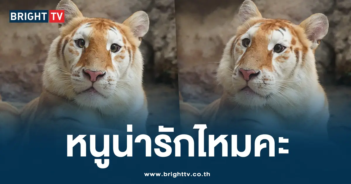 น้องเอวา