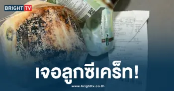 เจอลูกซีเคร็ท มะพร้าวขึ้นรา