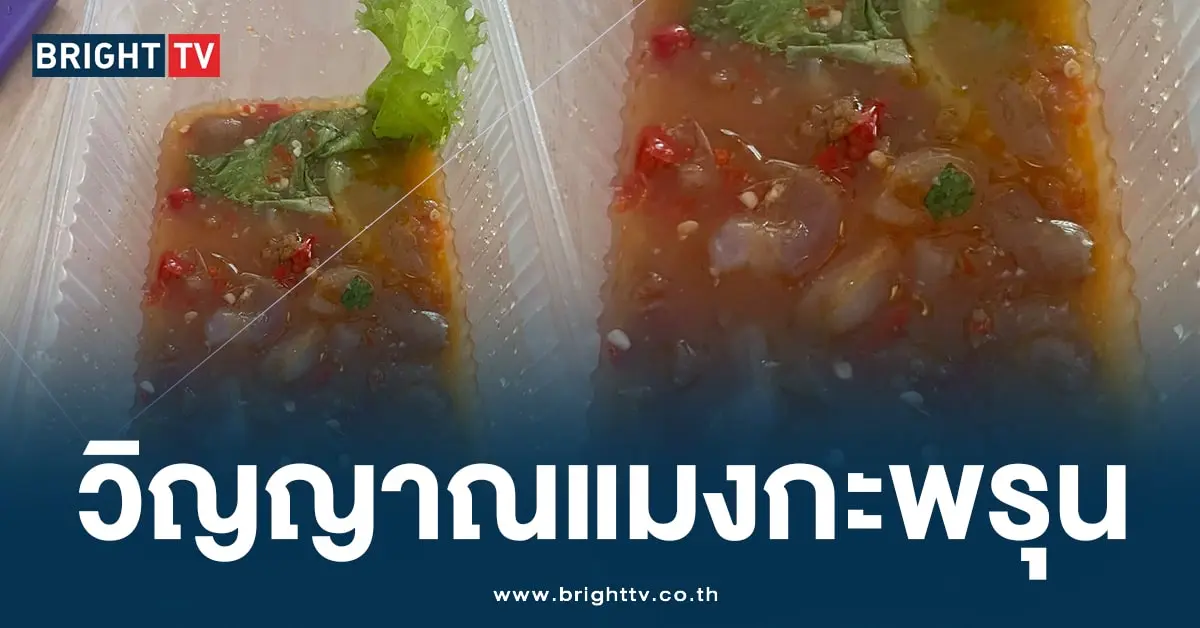 แมงกะพรุน (2)-min