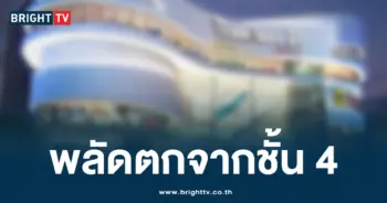 ต่างชาติพลัดตก
