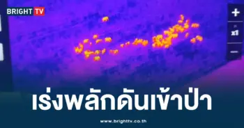 ช้างป่า ทับลาน