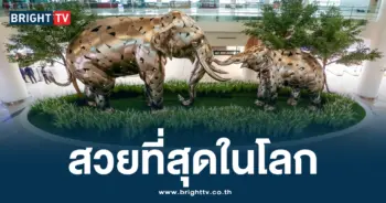 สนามบิน