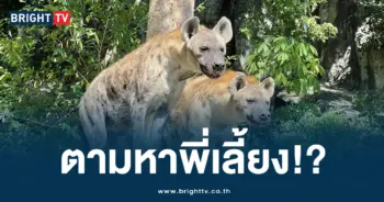 เขาเขียว (2)-min
