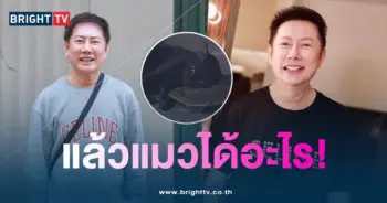 แมว-ณวัฒน์