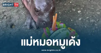 แม่หมอหมูเด้ง