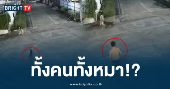 หมาหลุด-min