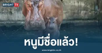 หนูมีชื่อแล้ว