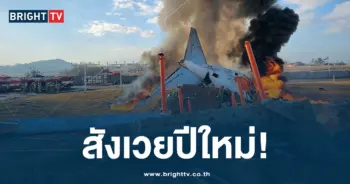 เชจูแอร์ตก ปก