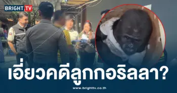 กอริลลา