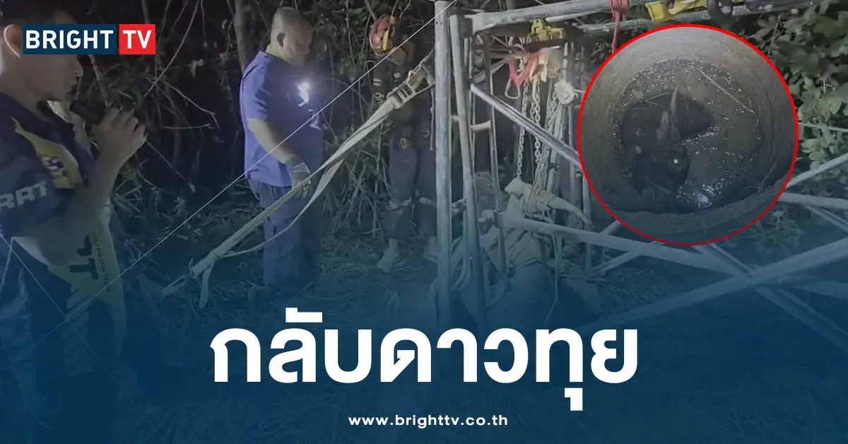 กลับดาวทุย ควายตกบ่อน้ำ