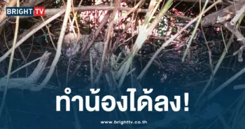 ทำน้องได้ลง ตัวนาคโดนแท่งเหล็กเสียบคอ