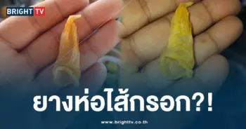 ยางห่อไส้กรอก