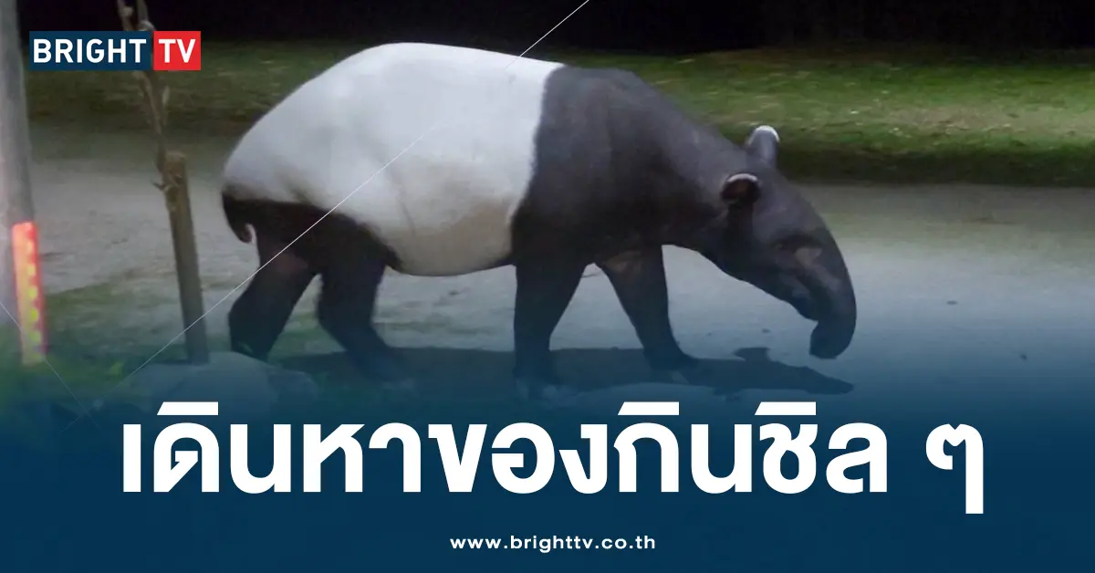 สมเสร็จ