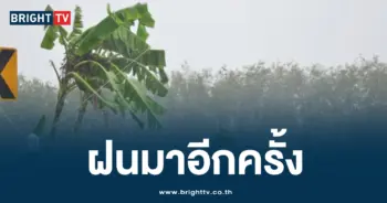 ฝนตก ภาคใต้