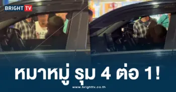 ตุ๊ก ๆ