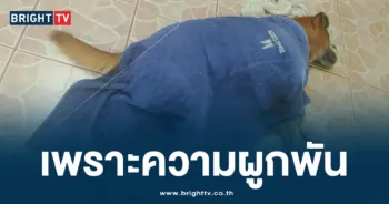 จูโด้