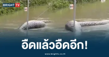 น้ำท่วมภาคใต้ (8)