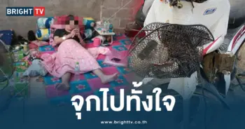 รถชน (1)