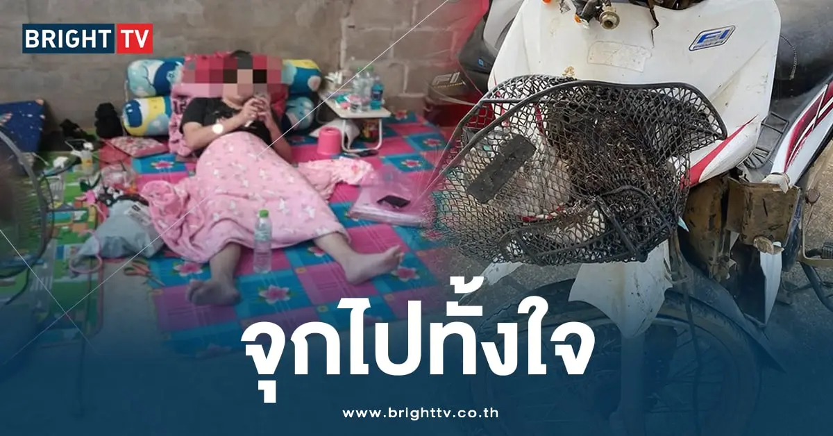 รถชน (1)