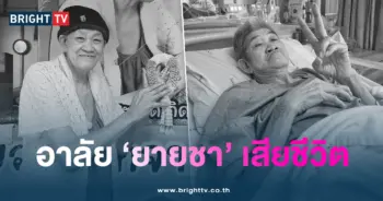 ปกยายชา