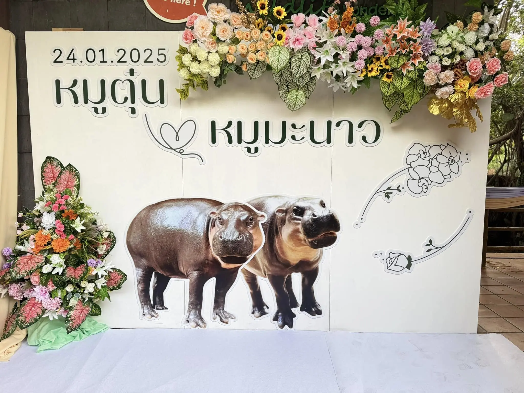 งานแต่งหมูมะนาว หมูตุ๋น 2-min