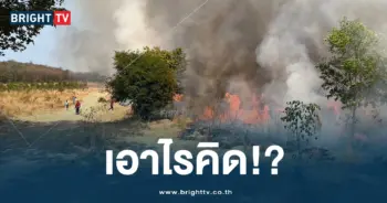 เผาป่า (1)