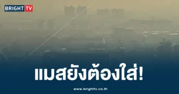 ฝุ่น