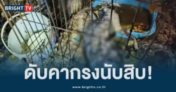 ไฟไหม้ (2)