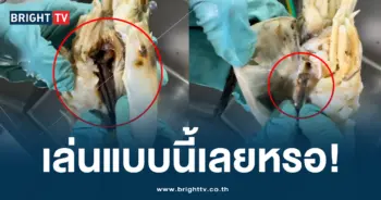 ตะปูในหัวกุ้ง