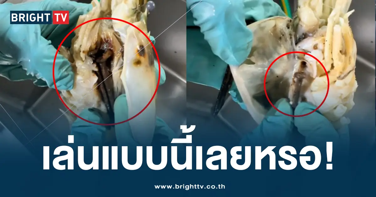 ตะปูในหัวกุ้ง