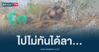 ลูกดอก (1)
