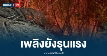 ไฟป่าชลบุรี