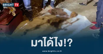 กระดูกมนุษย์ (2)