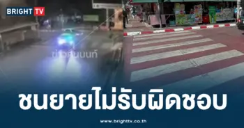 ชนยาย