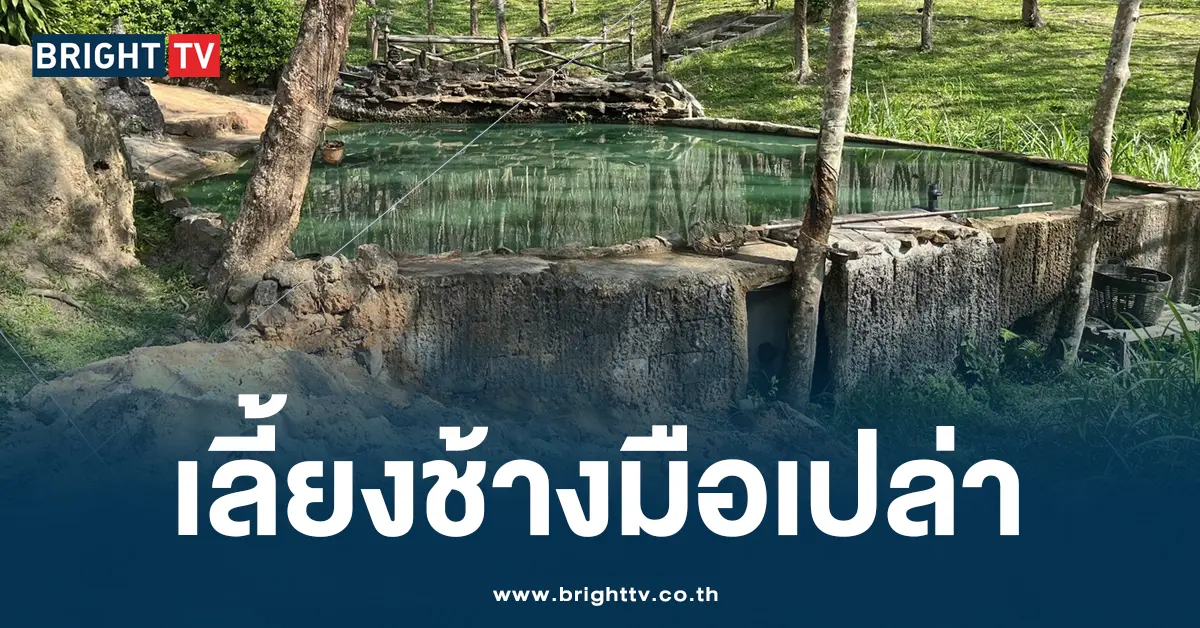 ช้าง ทำร่ายนทท