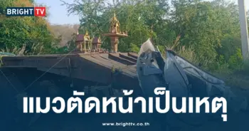 รถหลบแมวไม่พ้นชนคนตายข้างทาง